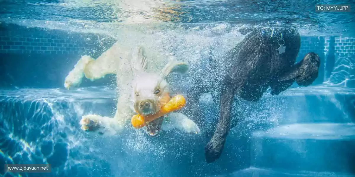 🌐📺 全球直播，同步狂欢！